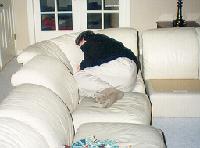 hobosmall.jpg (6369 bytes)